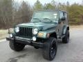 Shale Green Metallic - Wrangler Sahara 4x4 Photo No. 9