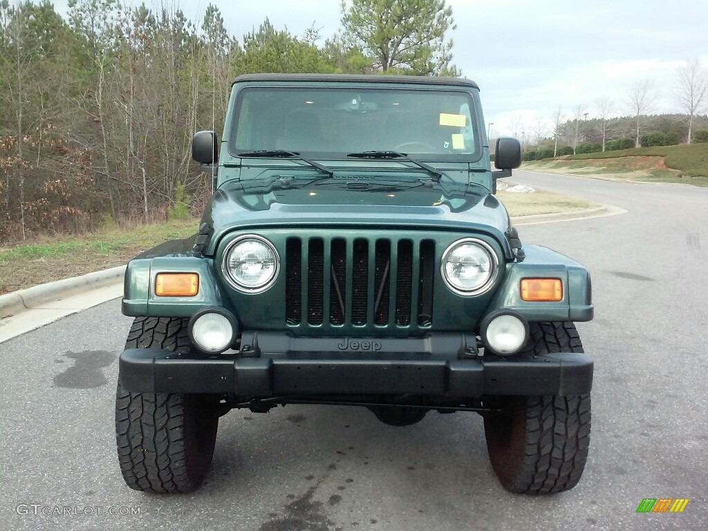 2004 Wrangler Sahara 4x4 - Shale Green Metallic / Khaki photo #10