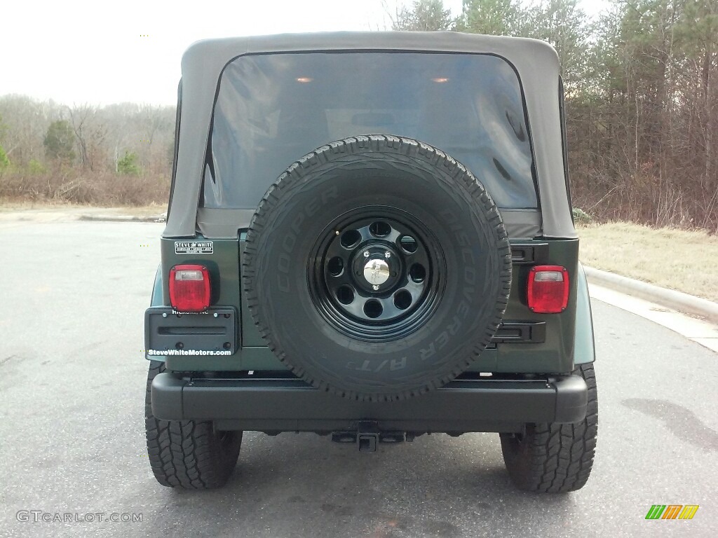 2004 Wrangler Sahara 4x4 - Shale Green Metallic / Khaki photo #11