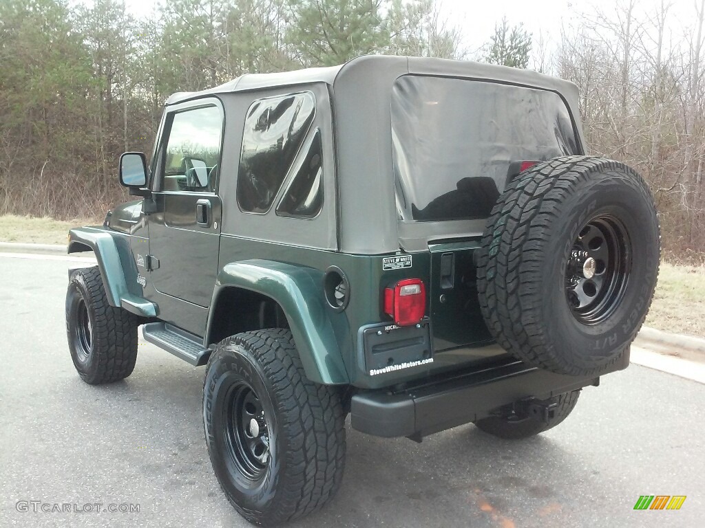 2004 Wrangler Sahara 4x4 - Shale Green Metallic / Khaki photo #12