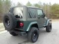 Shale Green Metallic - Wrangler Sahara 4x4 Photo No. 19