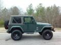 Shale Green Metallic - Wrangler Sahara 4x4 Photo No. 20