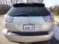 Bamboo Green Pearl - RX 350 AWD Photo No. 4