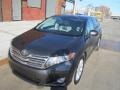 Magnetic Gray Metallic - Venza AWD Photo No. 2