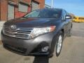 Magnetic Gray Metallic - Venza AWD Photo No. 4