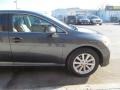Magnetic Gray Metallic - Venza AWD Photo No. 7