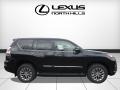 Black Onyx - GX 460 Luxury Photo No. 2