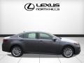 Nebula Gray Pearl - ES 350 Photo No. 2