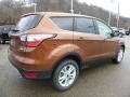 2017 Canyon Ridge Ford Escape SE  photo #2