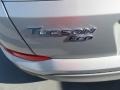 2017 Hyundai Tucson Eco Badge and Logo Photo