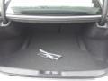 Black Trunk Photo for 2017 Dodge Charger #118173915