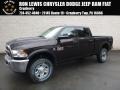 2017 Luxury Brown Pearl Ram 2500 Tradesman Crew Cab 4x4 #118176271