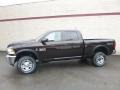 Luxury Brown Pearl 2017 Ram 2500 Tradesman Crew Cab 4x4 Exterior