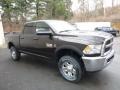 2017 Luxury Brown Pearl Ram 2500 Tradesman Crew Cab 4x4  photo #11