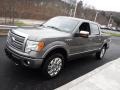 2012 Sterling Gray Metallic Ford F150 Platinum SuperCrew 4x4  photo #7