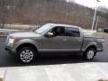 2012 Sterling Gray Metallic Ford F150 Platinum SuperCrew 4x4  photo #8