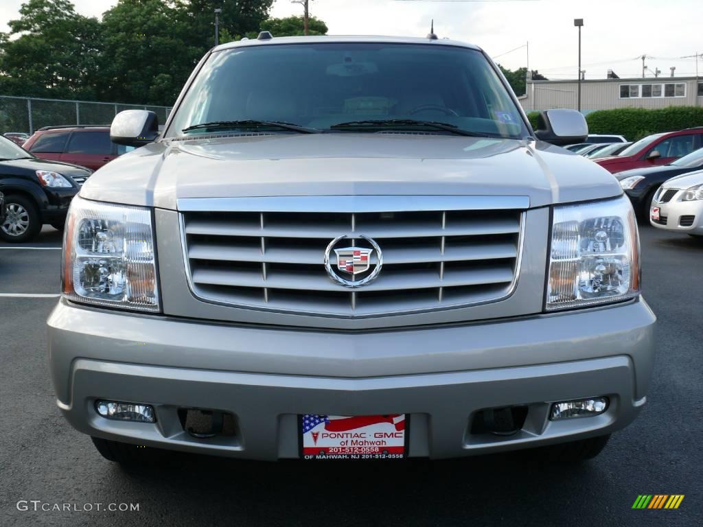 2005 Escalade ESV AWD - Quicksilver / Pewter photo #2