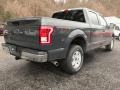 2017 Lithium Gray Ford F150 XLT SuperCrew 4x4  photo #4