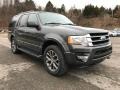 Magnetic 2017 Ford Expedition XLT 4x4 Exterior