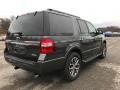 2017 Magnetic Ford Expedition XLT 4x4  photo #5