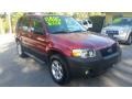 Redfire Metallic 2006 Ford Escape XLT V6 4WD