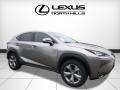 Atomic Silver - NX 200t AWD Photo No. 1