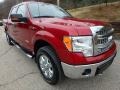 2014 Race Red Ford F150 XLT SuperCrew 4x4  photo #8