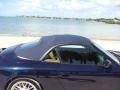 1999 Ocean Blue Metallic Porsche 911 Carrera Cabriolet  photo #28