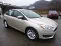 White Gold - Focus SE Sedan Photo No. 9