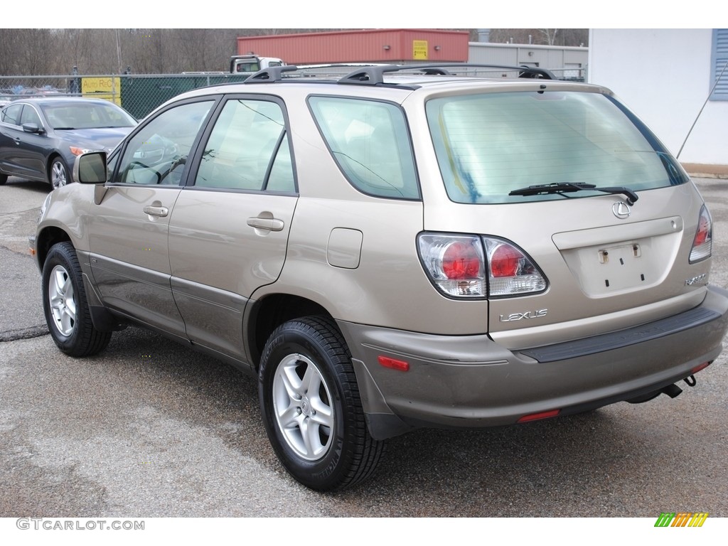 2001 RX 300 - Burnished Gold Metallic / Ivory photo #3