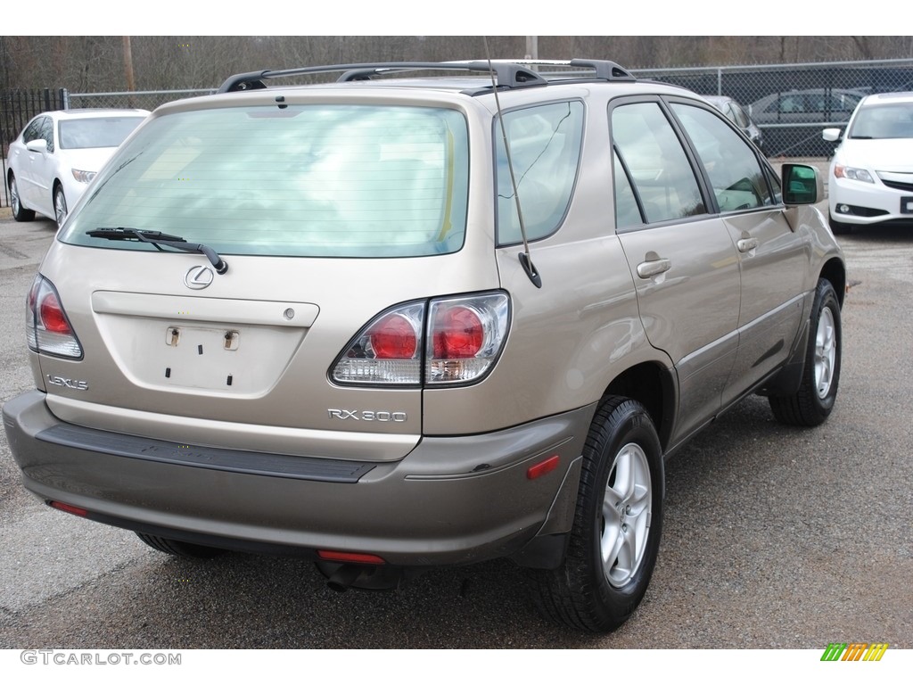 2001 RX 300 - Burnished Gold Metallic / Ivory photo #5