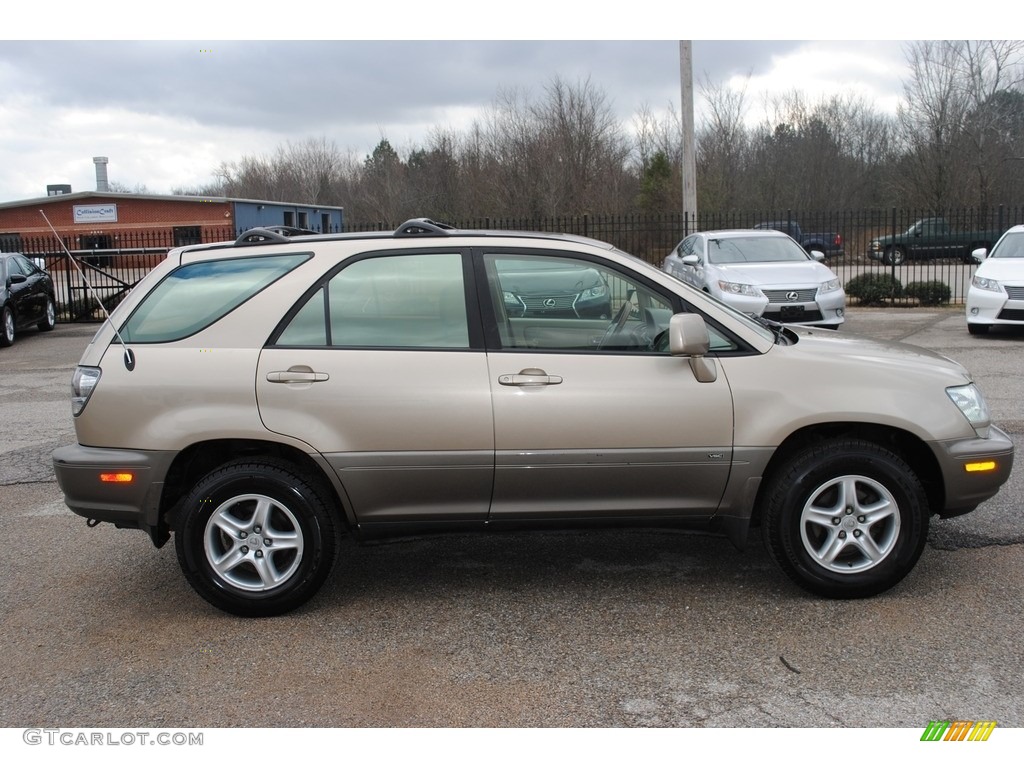 2001 RX 300 - Burnished Gold Metallic / Ivory photo #6