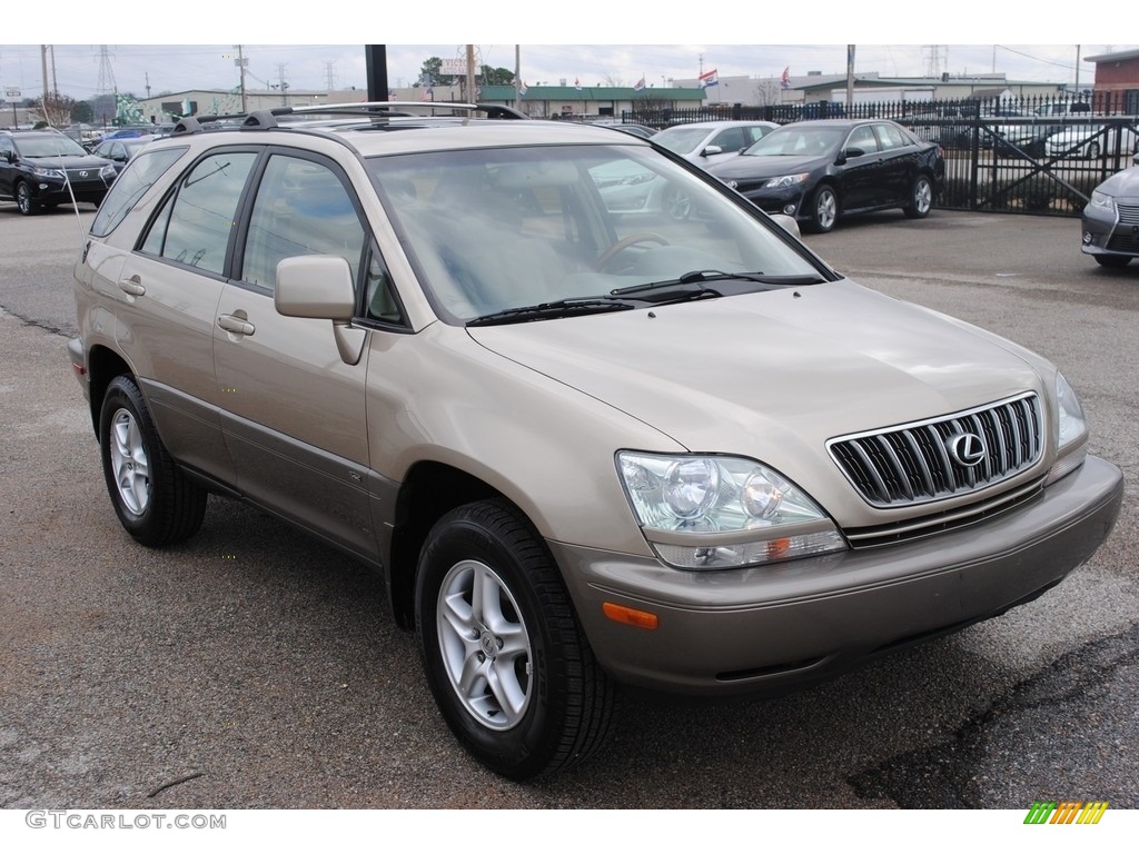2001 RX 300 - Burnished Gold Metallic / Ivory photo #7
