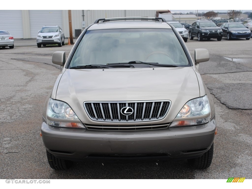 2001 RX 300 - Burnished Gold Metallic / Ivory photo #8