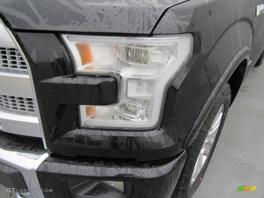 2017 F150 Platinum SuperCrew 4x4 - Shadow Black / Black photo #9