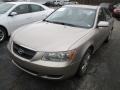 Golden Beige - Sonata GLS Photo No. 3