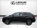 Obsidian - RX 350 AWD Photo No. 3