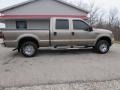 2004 Arizona Beige Metallic Ford F250 Super Duty XLT Crew Cab 4x4  photo #2