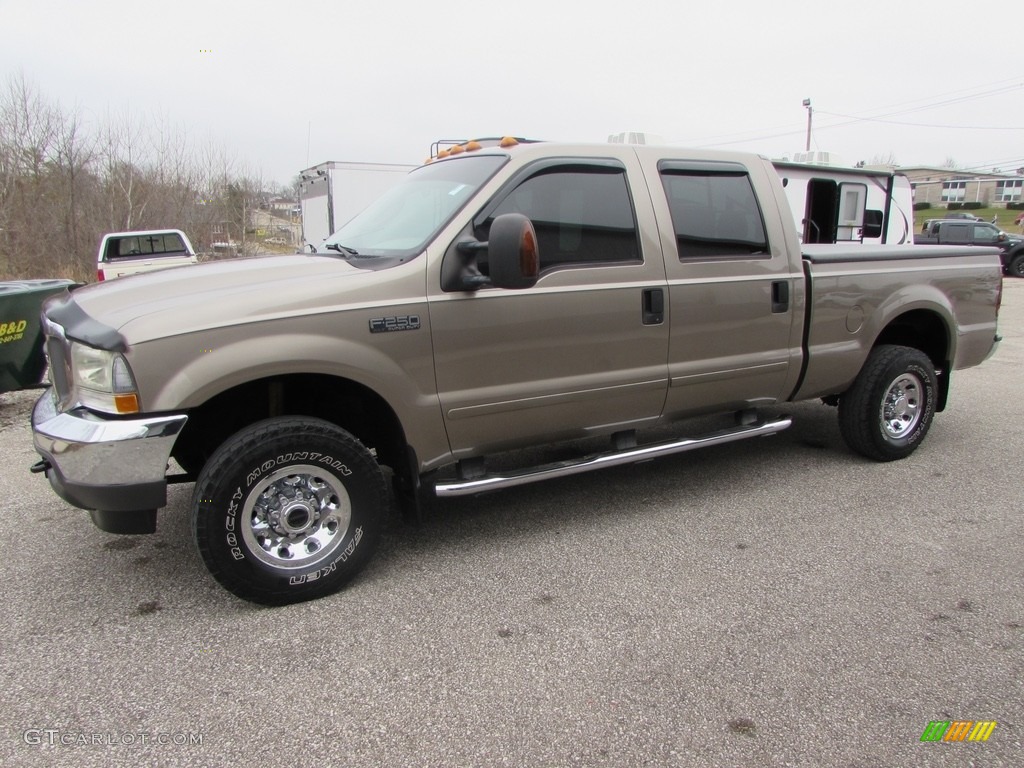 2004 F250 Super Duty XLT Crew Cab 4x4 - Arizona Beige Metallic / Medium Parchment photo #6