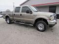 2004 Arizona Beige Metallic Ford F250 Super Duty XLT Crew Cab 4x4  photo #7