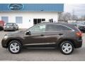 Kona Coffee Metallic - RDX  Photo No. 2