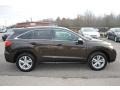 Kona Coffee Metallic - RDX  Photo No. 6
