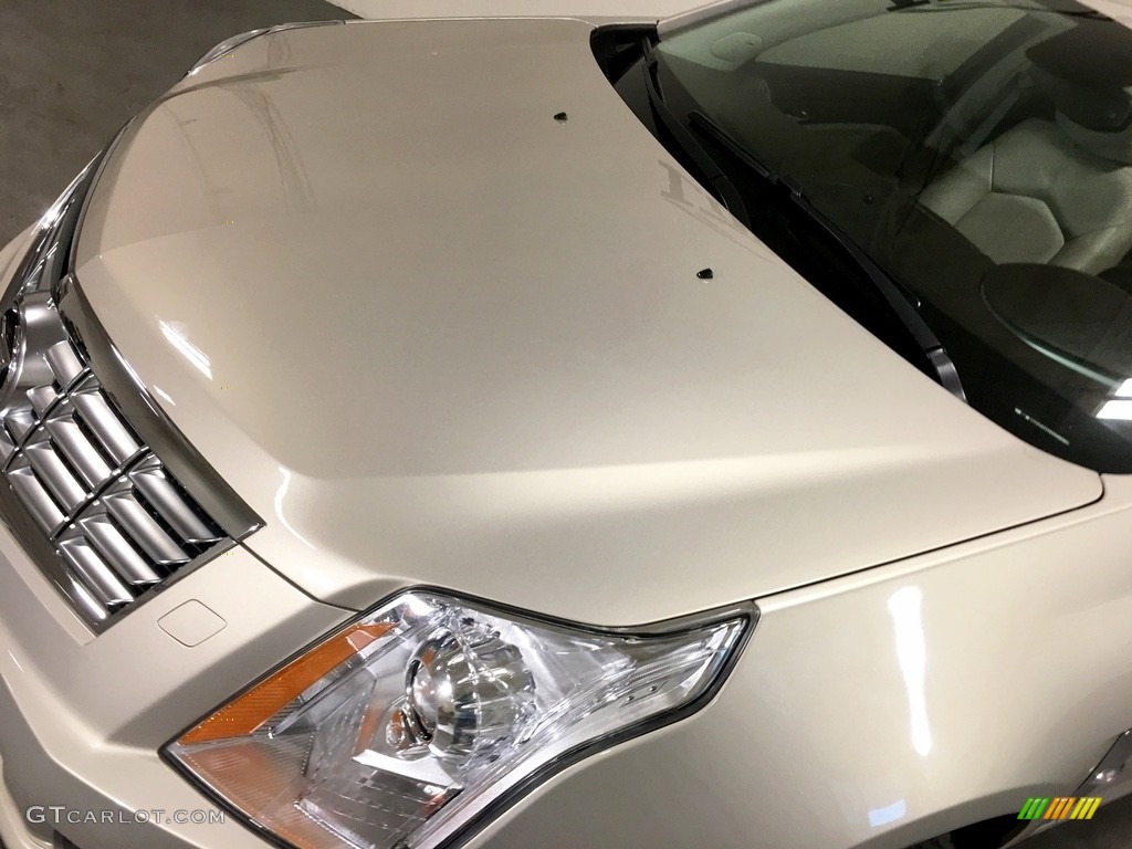 2010 SRX V6 - Gold Mist / Shale/Brownstone photo #31