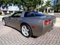 Light Pewter Metallic - Corvette Coupe Photo No. 5