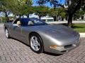 Light Pewter Metallic - Corvette Coupe Photo No. 13