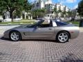 1999 Light Pewter Metallic Chevrolet Corvette Coupe  photo #19