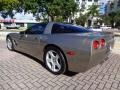 Light Pewter Metallic - Corvette Coupe Photo No. 28