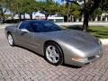 Light Pewter Metallic - Corvette Coupe Photo No. 36