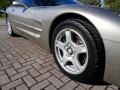 Light Pewter Metallic - Corvette Coupe Photo No. 41