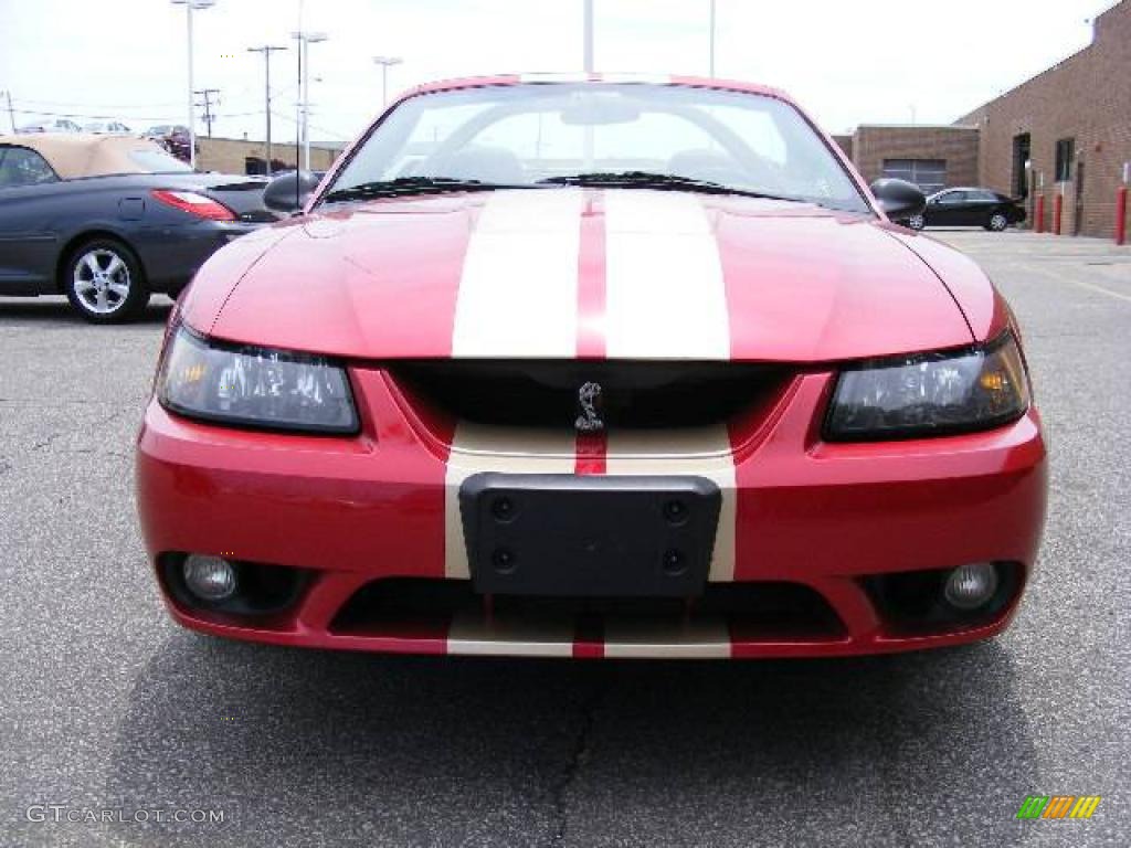 2001 Mustang Cobra Convertible - Laser Red Metallic / Medium Parchment photo #9